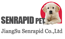 Dog Channel